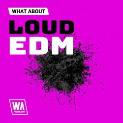 DJ皮蛋-全粤语LakHouse音乐经典粤语专辑 串烧大碟