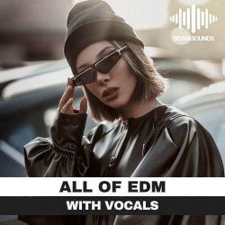 【Dj晓轩修改】张智霖许秋怡 - 现代爱情故事(McYy Electro 粤语合唱)
