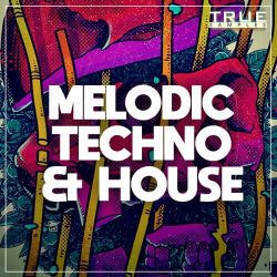 樊凡 - 我想大声告诉你 (DJ阿华 Electro Mix)