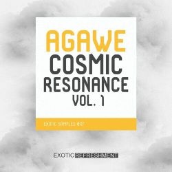 此生不換(ARS VinaHouse Rmx)