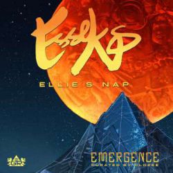 谭咏麟 - 披着羊皮的狼(DJ阿华 Electro Rmx)