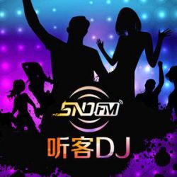 杨小壮 - 一个人挺好(Dj阿华 Electro Rmx)