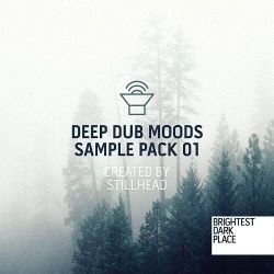 王娅 - 爱情错觉(Dj炮哥 ProgHouse Rmx)