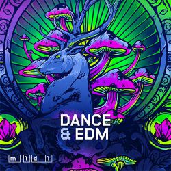 莫叫姐姐 - 不该用情(Dj炮哥 ProgHouse Rmx)