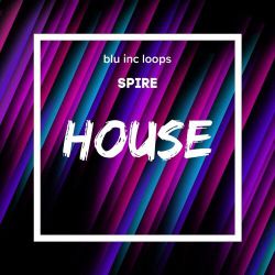 阿悠悠 - 旧梦一场(Ars VinaHouse Rmx)